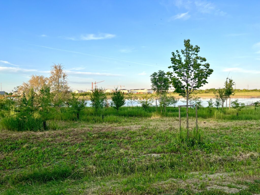 Parco Cesarea
