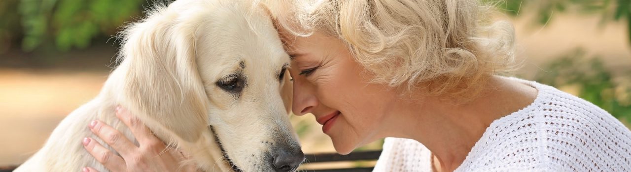 Corso formativo per proprietari di cani